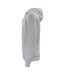 Unisex Adult Basic Hoodie Grey Melange Clique-3