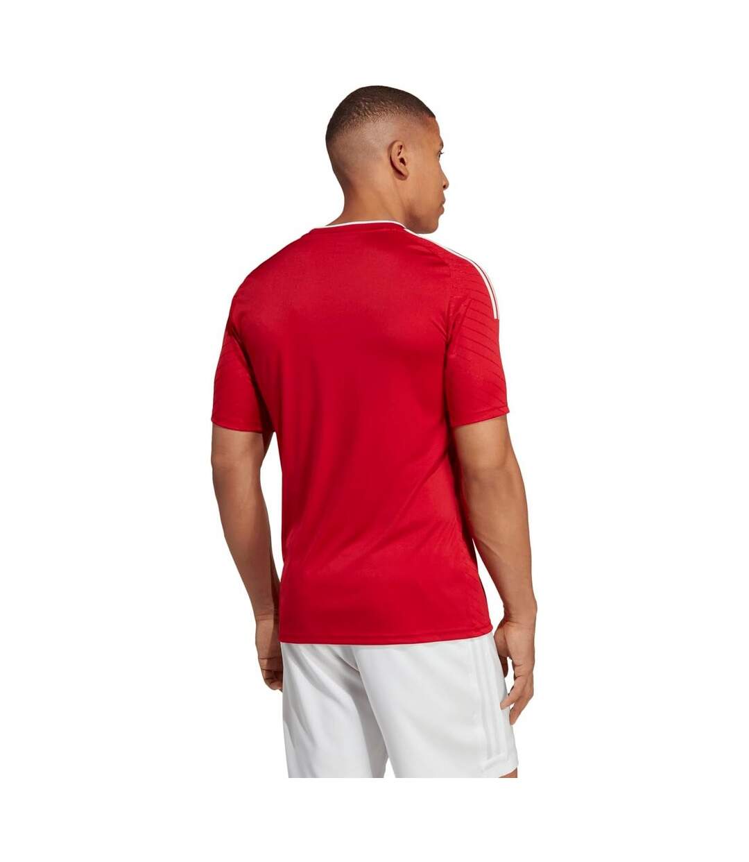 Maillot Campeon Homme Rouge Adidas-3