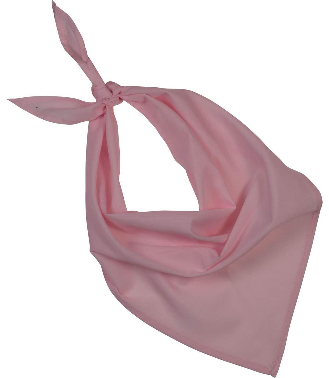 Lot de 10 bandanas fiesta - rose