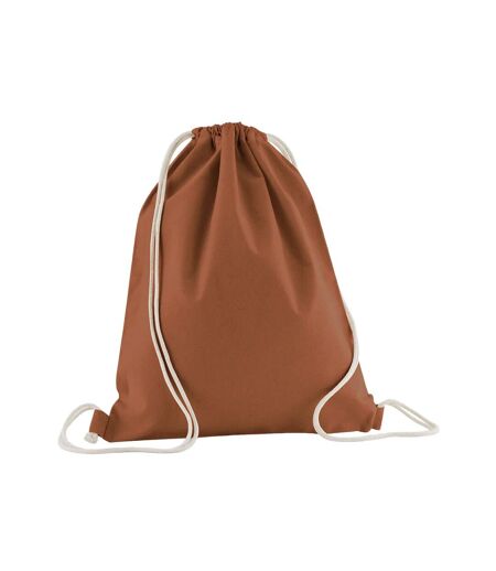 Organic Cotton Drawstring Bag One Size Terracotta Westford Mill