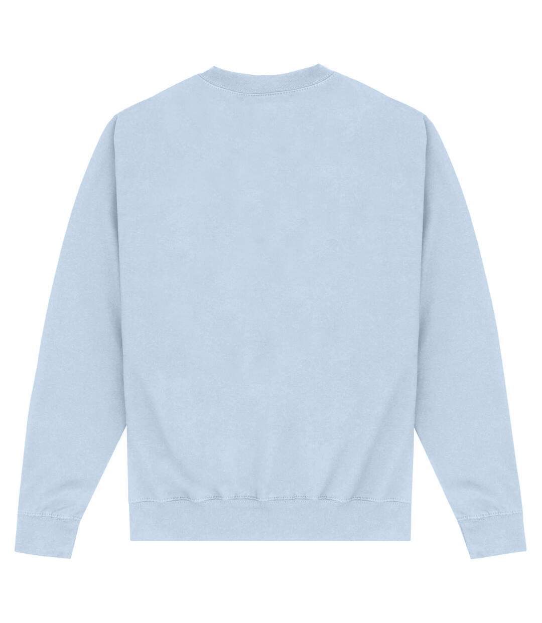 Sweat sixty one adulte bleu ciel Park Fields