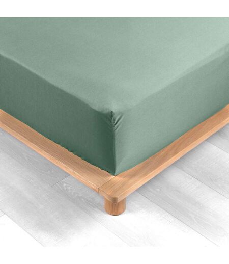 Drap Housse Percaline 160x200cm Tilleul
