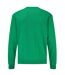 Sweat Classic Adulte Vert Fruit Of The Loom-2