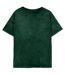 Harry Potter - T-shirt SLYTHERIN CONSTELLATIONS - Femme (Vert) - UTHE661