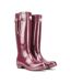 Bottes De Pluie Femme Bordeaux Rockfish-3