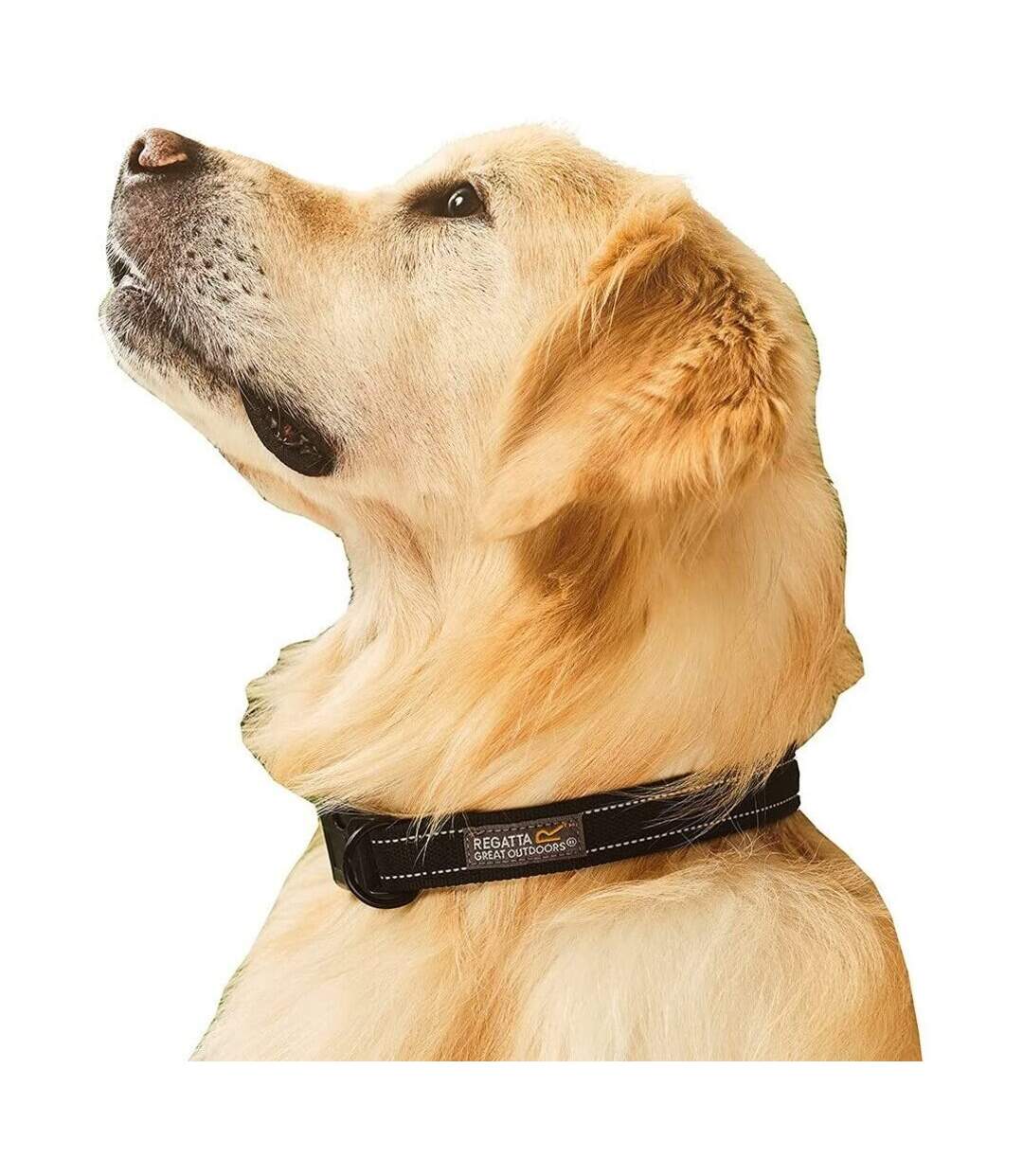 Collier pour chiens premium l-xl noir Regatta-3