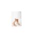 Sandales Tommi Barely There Femme Blanc Dorothy Perkins-2