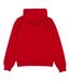 Sweat À Capuche Rs054 Homme Rouge Champion-2