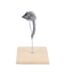 Souris sur ressort jouet pour chat-1
