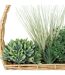 Plante Artificielle à Suspendre Garden 40cm Beige-2