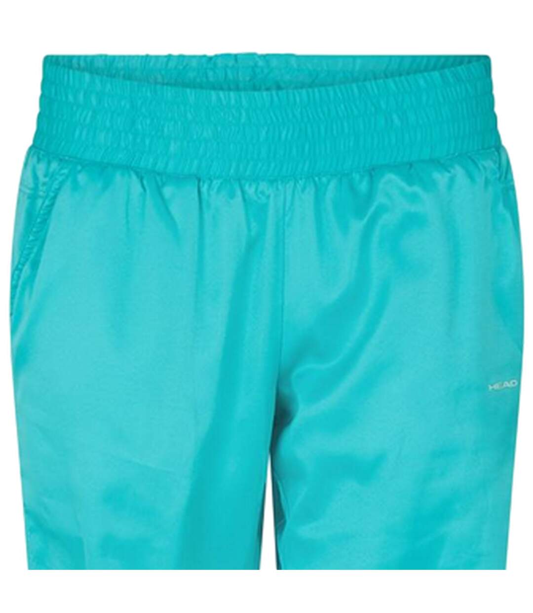Womens/ladies Slim Tracksuit Bottoms Blue Head-4