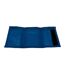 Everton FC Fade Design Touch Fastening Nylon Wallet (Blue/White) (One Size) - UTTA3208