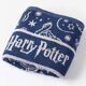 Serviette bleue-1