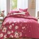 Housse de couette-4
