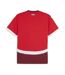Suisse maillot réplica domicile homme puma 2023/2024-2