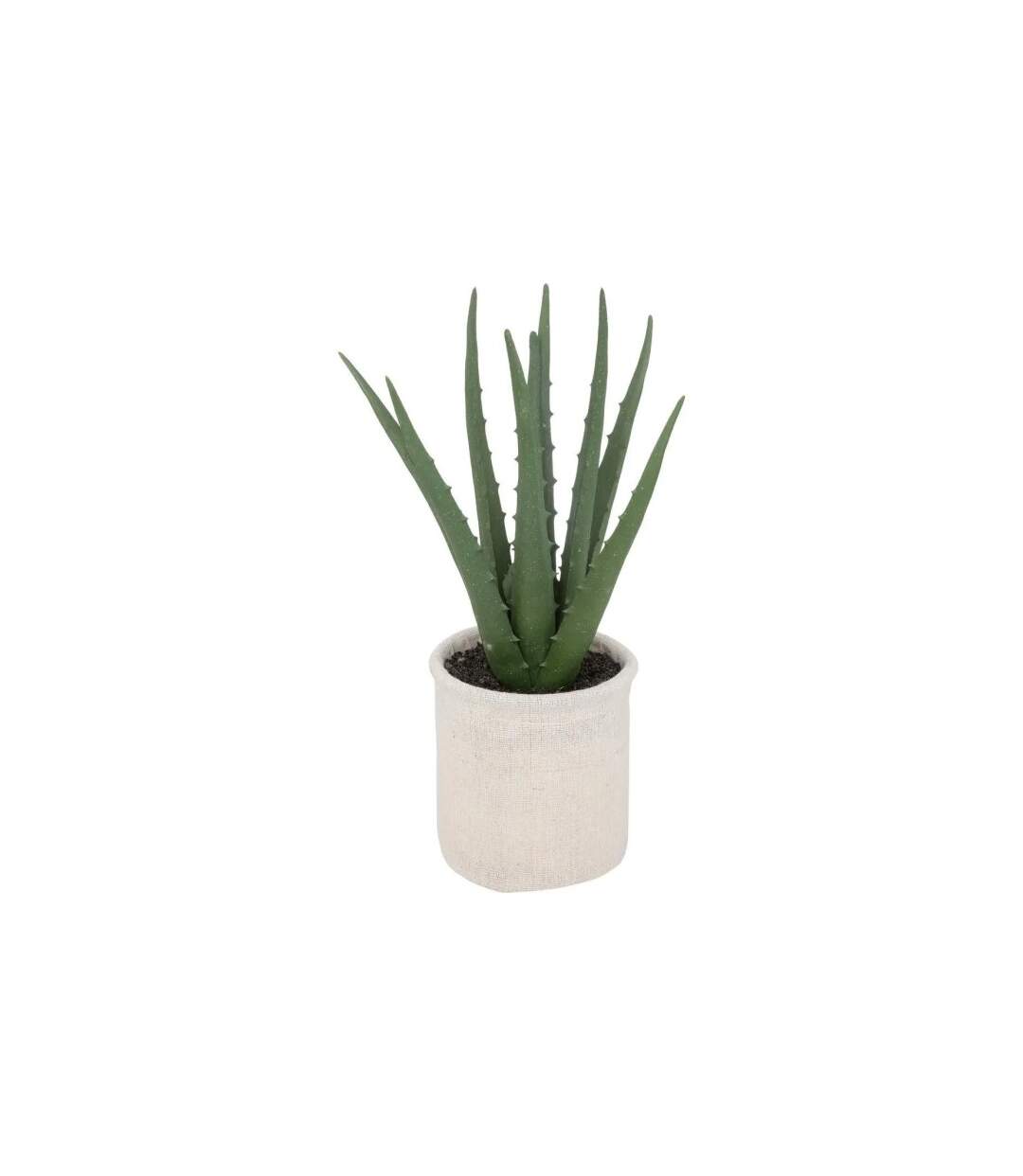 Plante Artificielle en Pot Aloe 29cm Vert & Beige-1