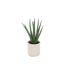 Plante Artificielle en Pot Aloe 29cm Vert & Beige