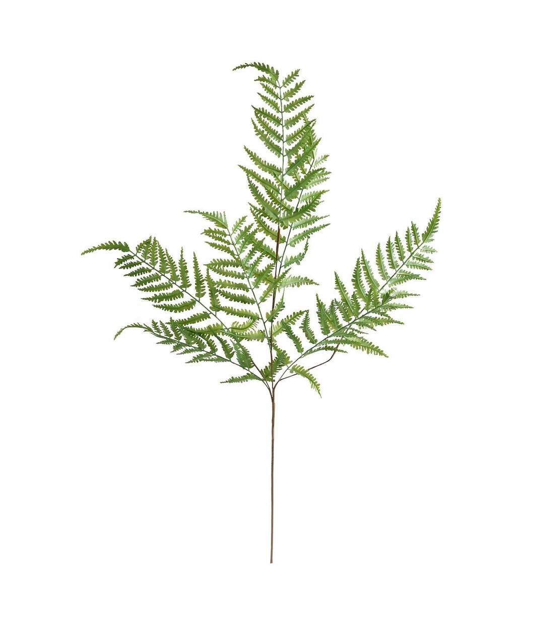 Tige Artificielle Fougère James 90cm Vert-1