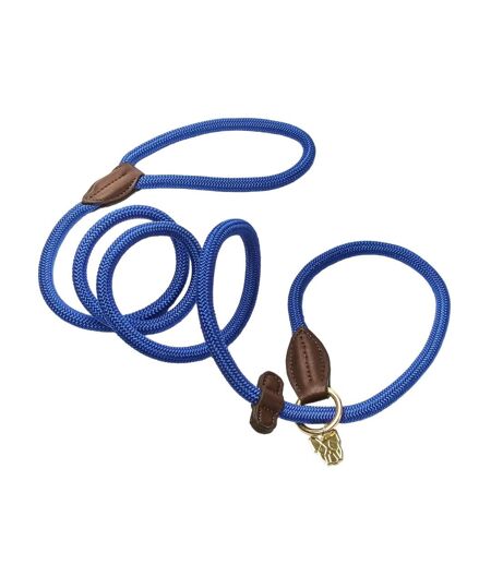 Leather dog slip lead one size blue Digby & Fox