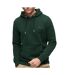 Sweat Vert Homme Superdry Essential Logo - 3XL-1