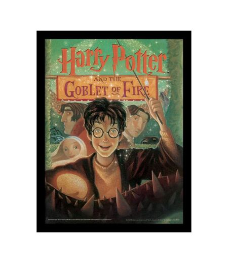 Harry Potter - Imprimé THE GOBLET OF FIRE (Multicolore) (40 cm x 30 cm) - UTPM8040