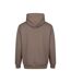 Sweat À Capuche Vision Homme Beige Argile Awdis-2