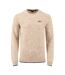 Mens Gorleston Crew Neck Sweatshirt Ecru Weird Fish-2