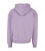 Sweat À Capuche Homme Lilas Urban Classics-2