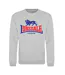 Sweat Motif/style Logo Adulte Gris Lonsdale-1