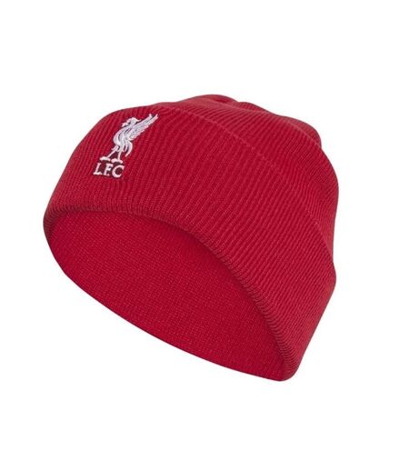 Bonnet Motif/style Liverpool Fc Homme Rouge Adidas