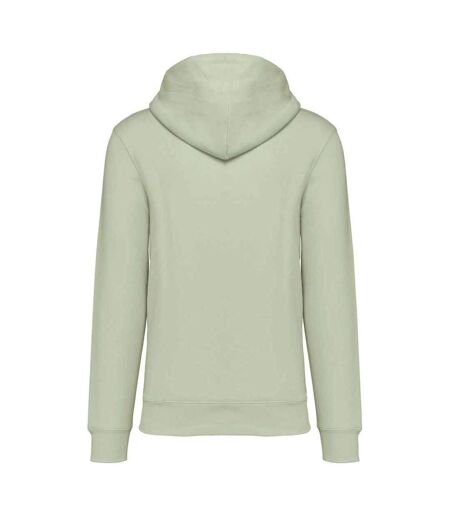 Sweat À Capuche Adulte Vert Pâle Native Spirit