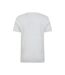 T-shirt Motif/style Graphique Ben Nevis Homme Gris Clair Mountain Warehouse-2
