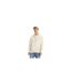 Mens Pullover Hoodie Fog Levis-1