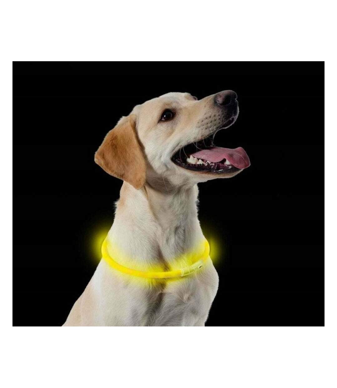 Dog collar light 1 yellow Ancol-2