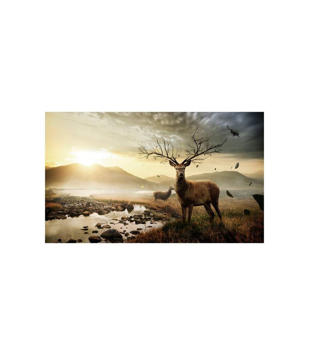 Papier Peint Cerf & Ruisseau de Montagne II 270x450cm-2