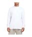 T-shirt Manches Longues Homme Blanc Lyle & Scott-4