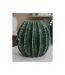 Vase Déco en Céramique Cactus 24cm Vert-4