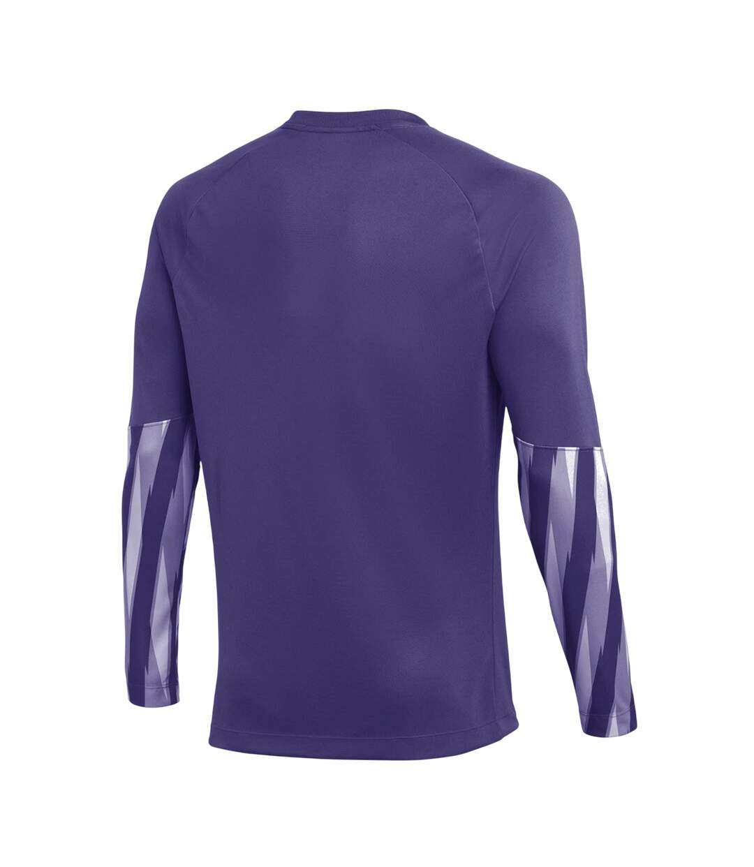Maillot De Gardien De But Manches Longues Park Homme Violet Nike-2