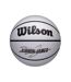 Ballon De Basket Motif/style Nba Lebron Taille 7 Gris Wilson-1