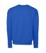 Bella + Canvas - Sweatshirt - Unisexe (Bleu roi) - UTPC3872