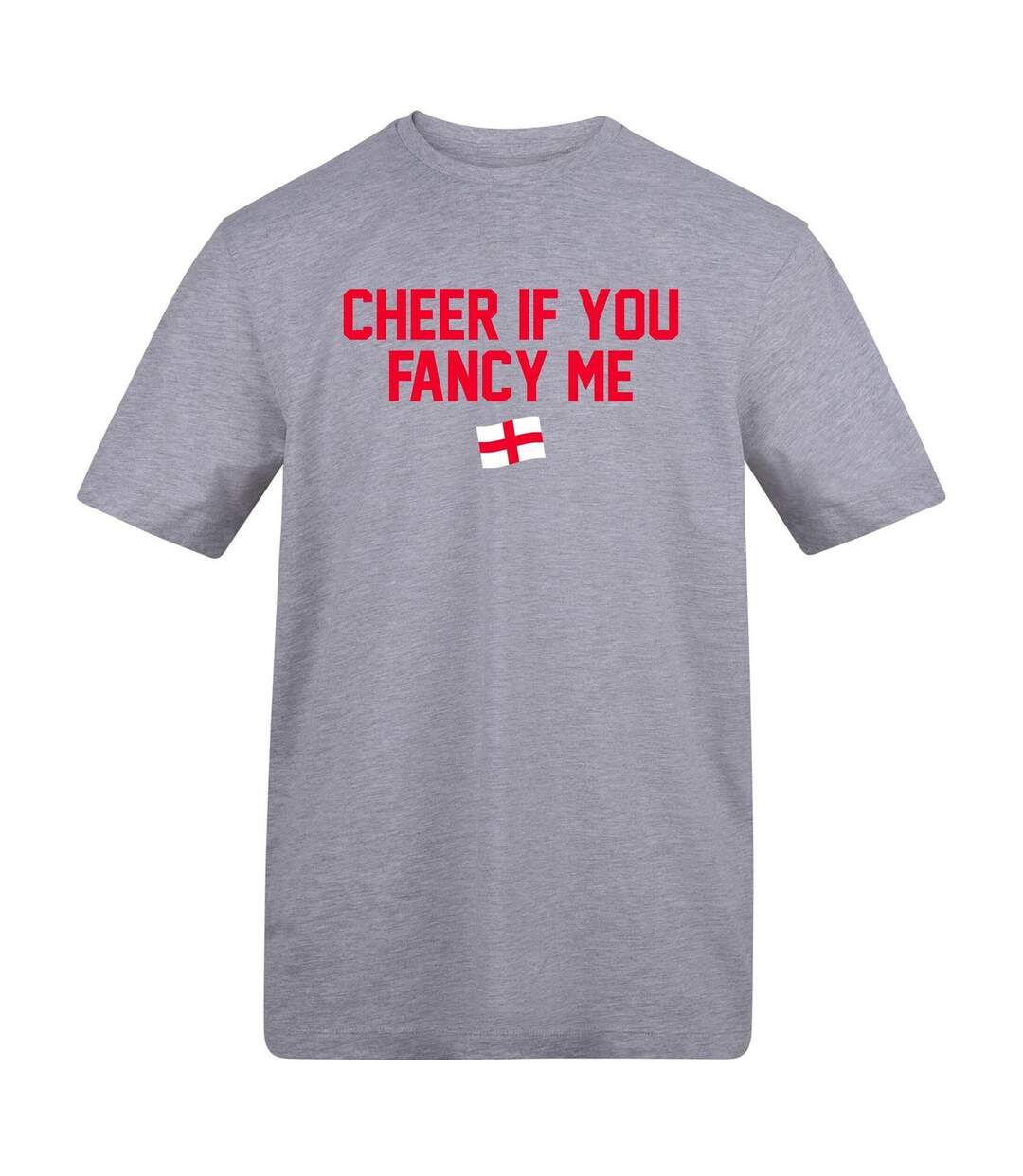 Mens Cheer If You Fancy Me T-shirt Grey AWD-1
