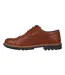 Chaussures Webster Homme Marron Giorgio-3