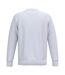 Sweat Adulte Blanc Native Spirit-2