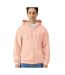Veste À Capuche Softstyle Adulte Vieux Rose Gildan-3