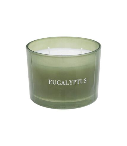 Bougie Parfumée Déco Cosy 280g Eucalyptus