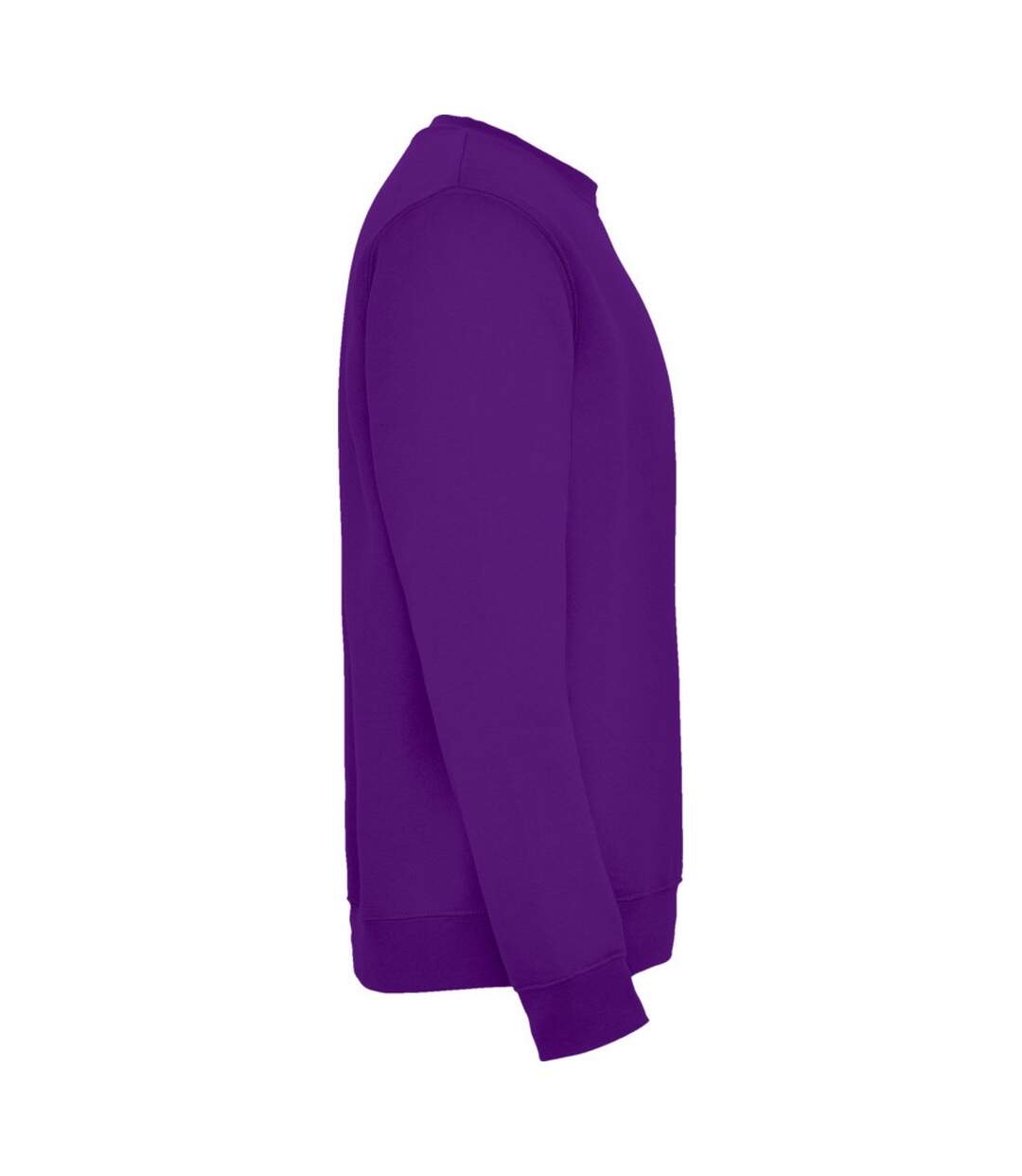 Sweat clasica adulte violet Roly-3