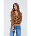 Pull Cardipar Camel-2
