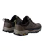 Chaussures De Marche Blake Homme Marron Foncé Bois Regatta-2
