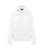 Sweat À Capuche Motif/style Logo Monochrome Homme Blanc Vif Diesel-1