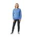 Unisex adult denali recycled cotton undyed sweatshirt heather blue Iqoniq-3